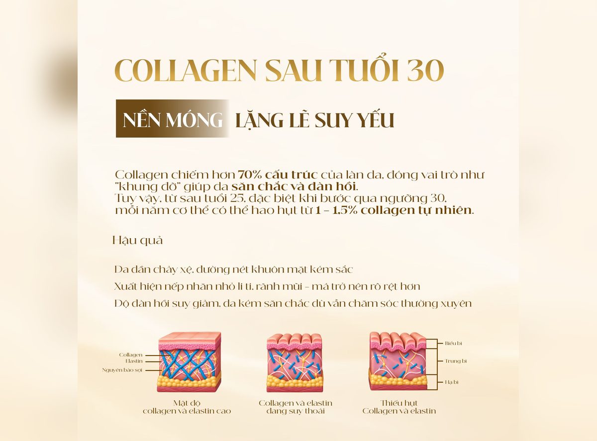 Collagen suy giảm sau tuổi 30 khiến da mỏng và chùng nhão