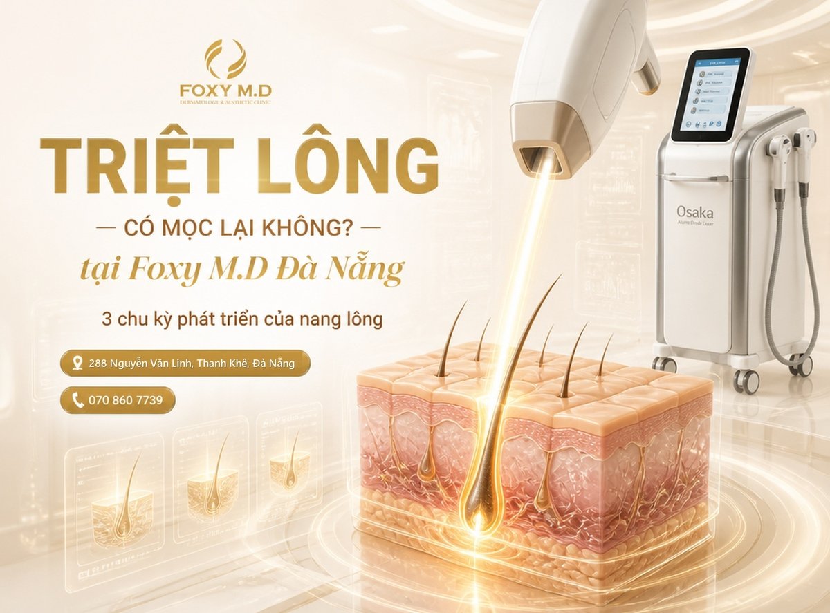 Triệt lông có mọc lại không? Phân tích 3 chu kỳ phát triển sinh học của nang lông