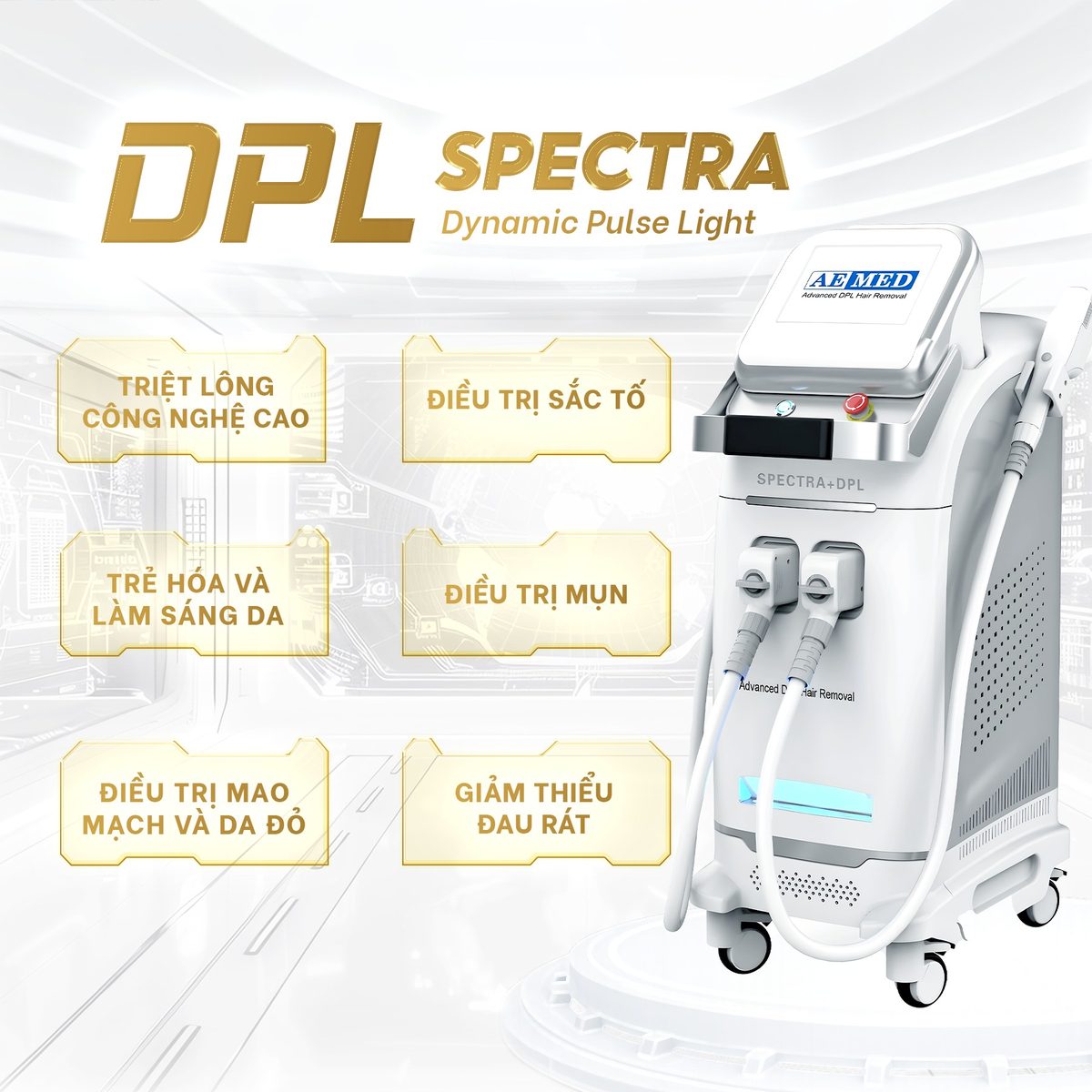 DPL Spectra tại Foxy M.D