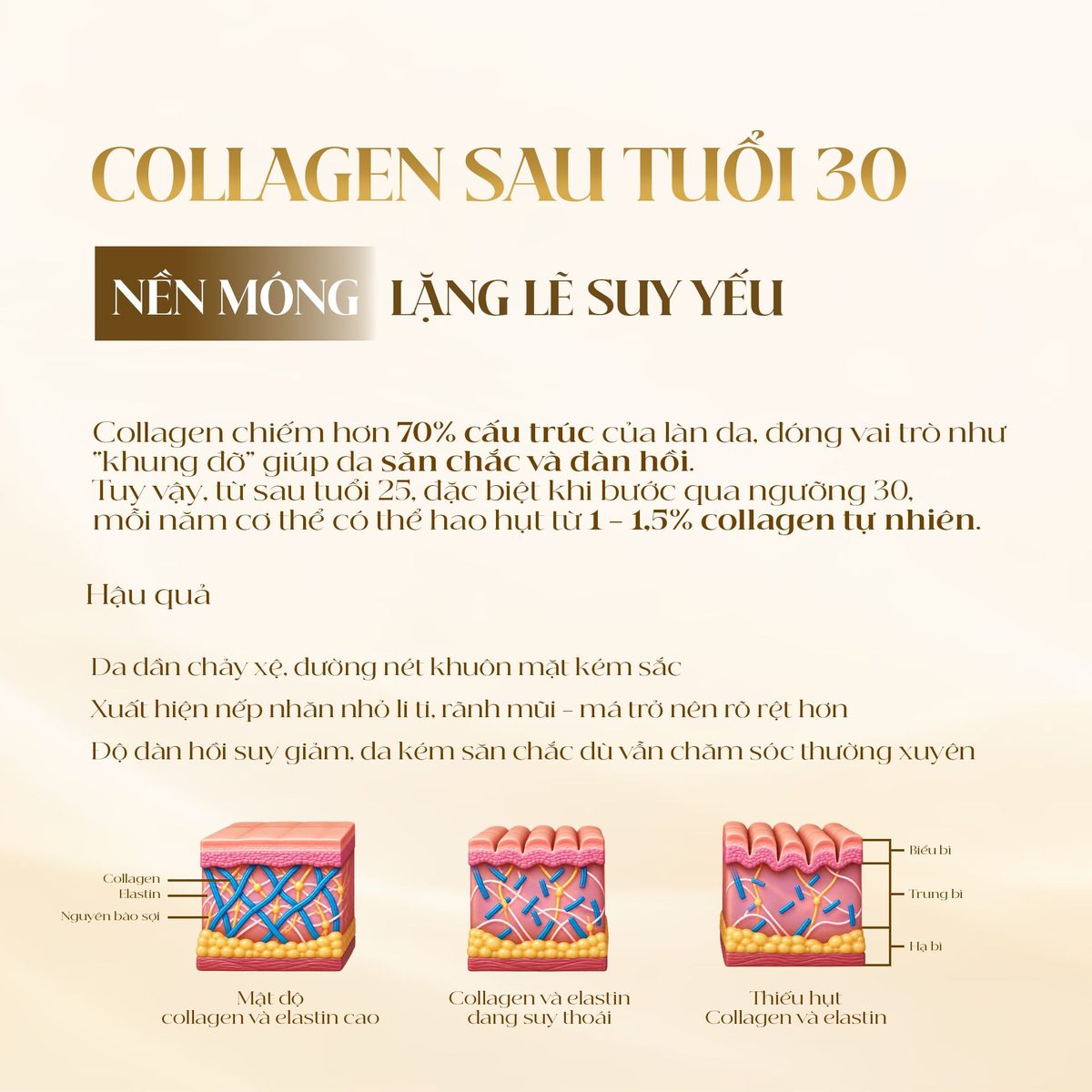 Collagen suy giảm sau tuổi 30 khiến da mỏng và chùng nhão